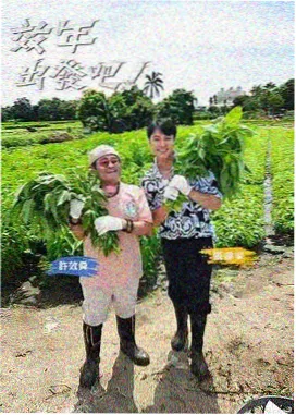 巷口的第七盏灯综艺海报，暖黄路灯与沙白墙面